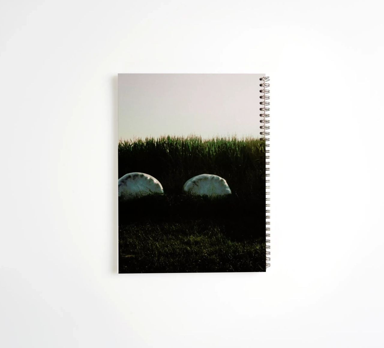 Analog Series Fields At Sundown diario ad anelli da Sebastian Hilgetag