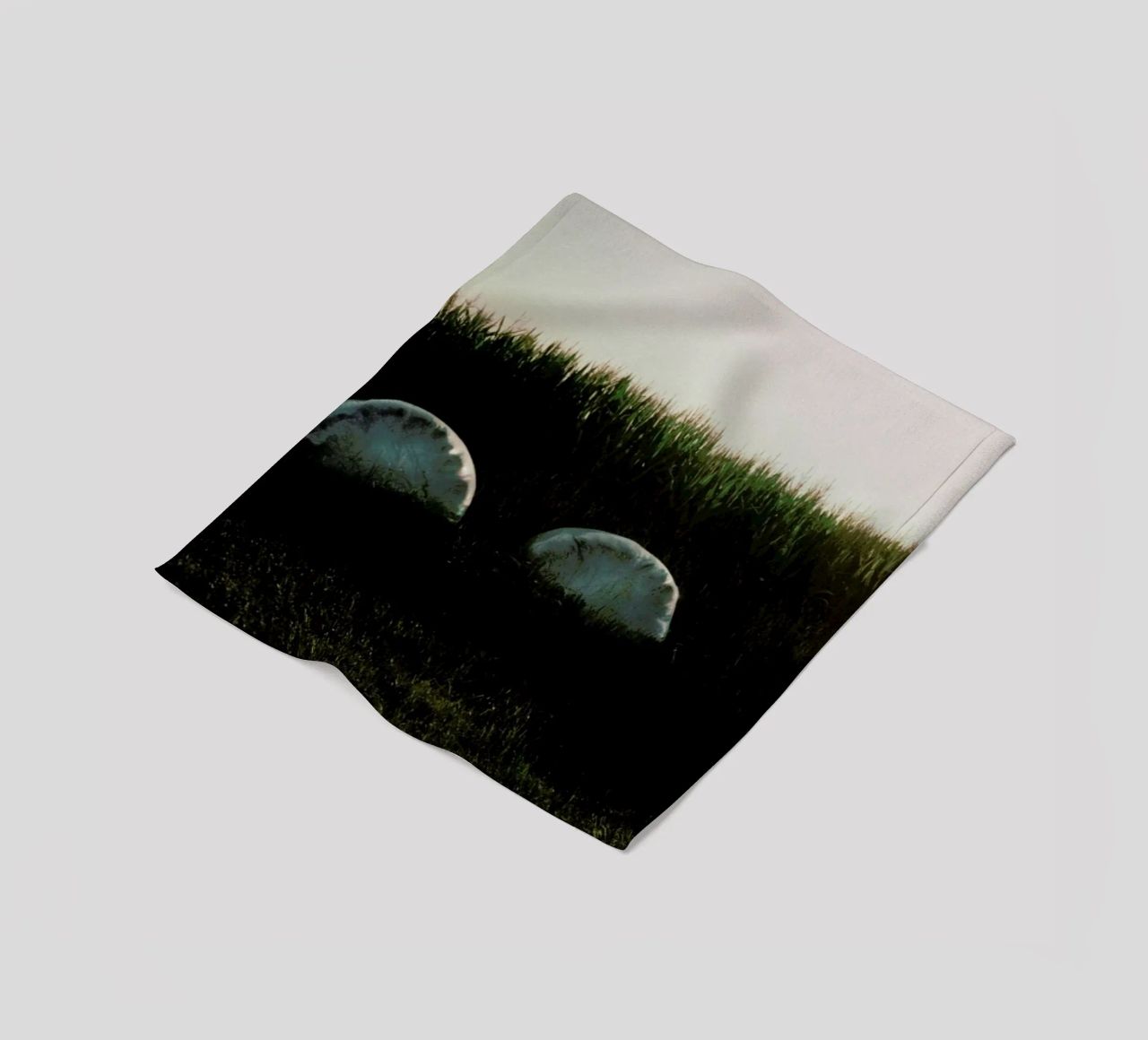 Analog Series Fields At Sundown coperta in pile da Sebastian Hilgetag