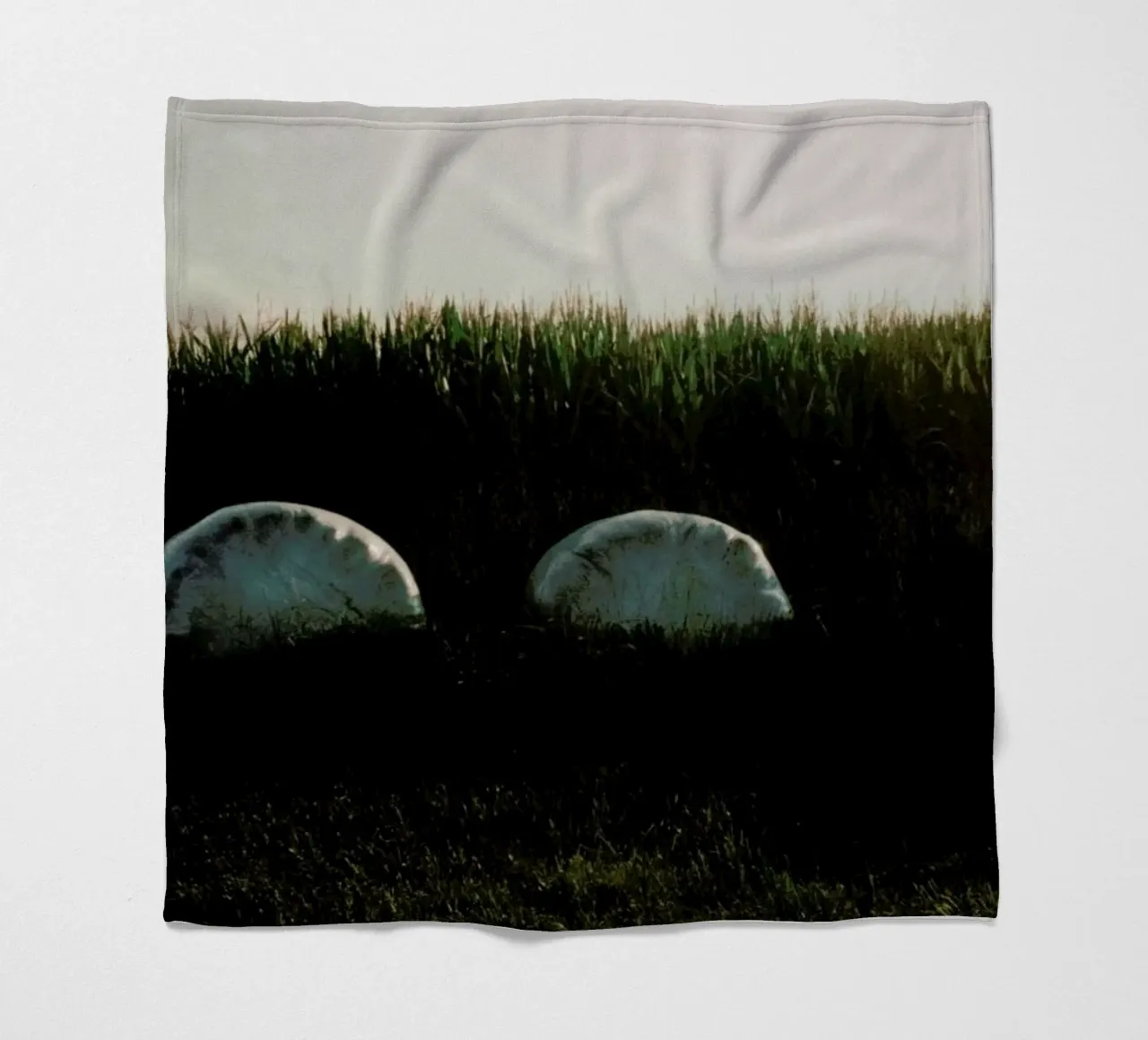 Analog Series Fields At Sundown coperta in pile da Sebastian Hilgetag