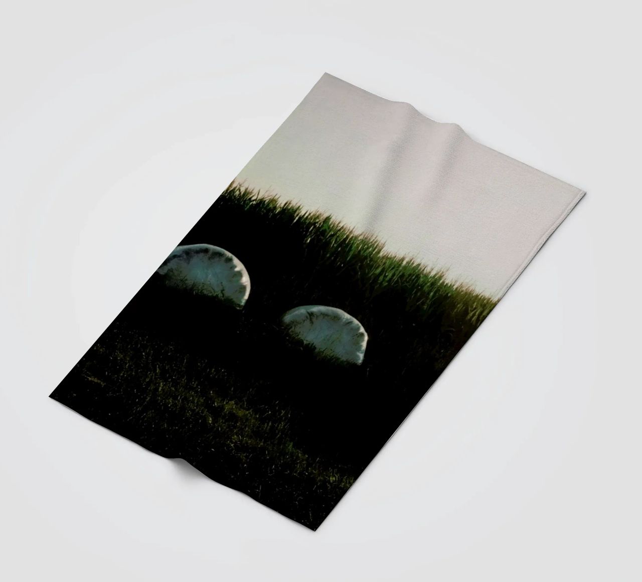 Analog Series Fields At Sundown coperta in pile da Sebastian Hilgetag