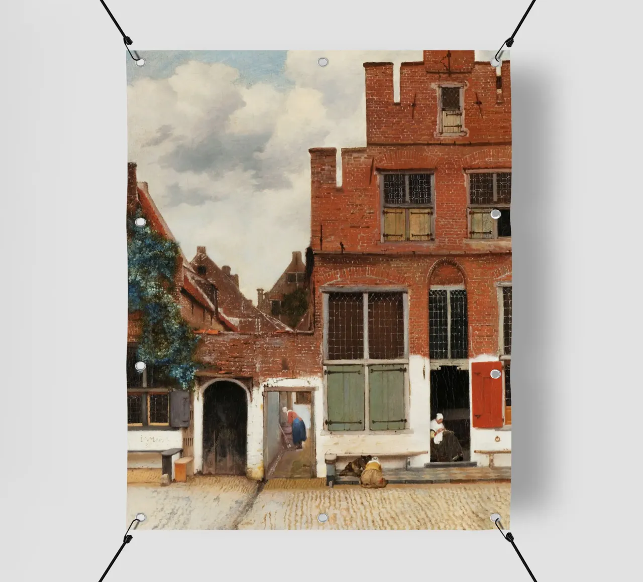 La stradina di Johannes Vermeer (1658 circa) telo in pvc da Venus Art