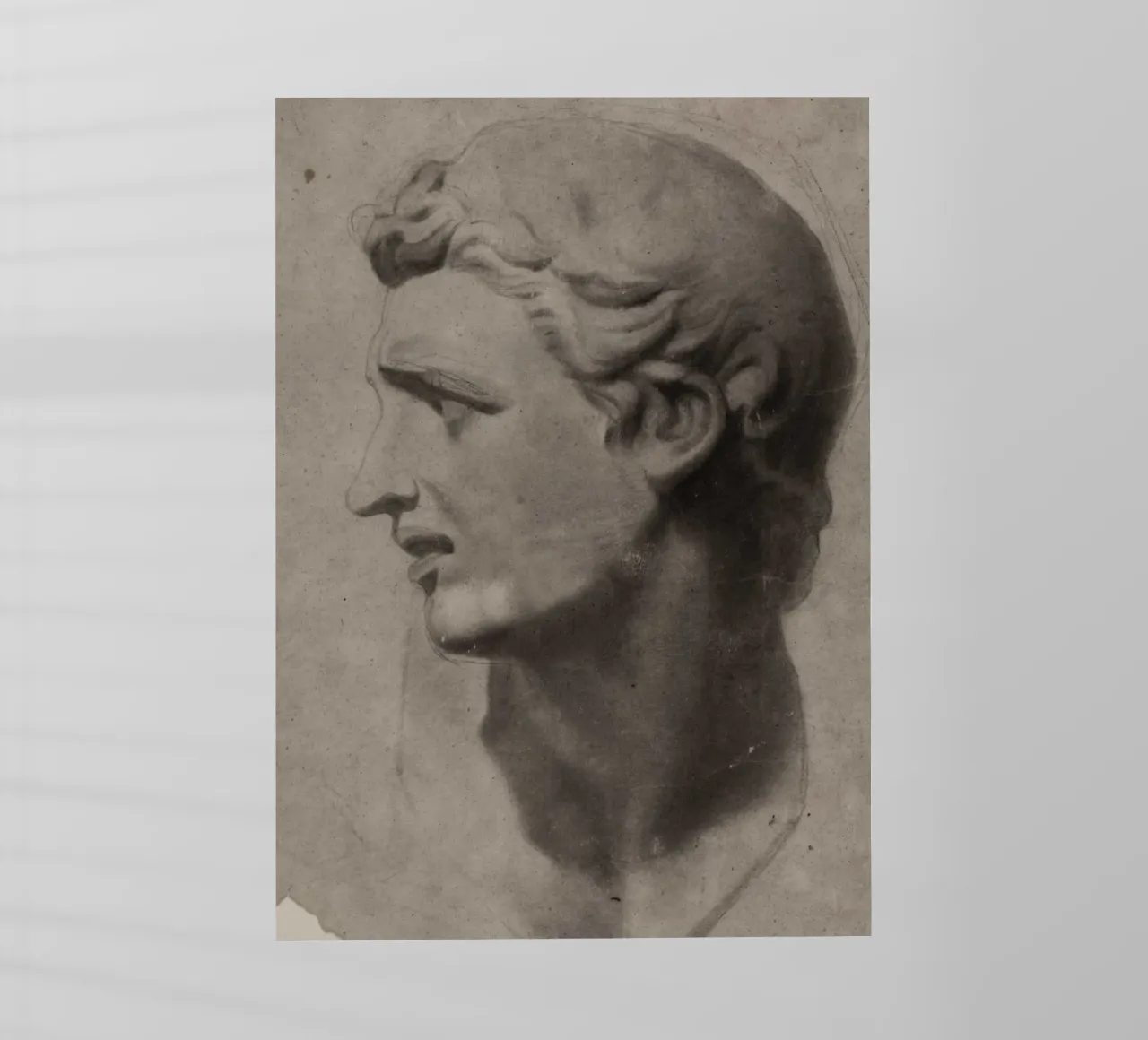 Vintage Academic Male Bust Study - Classical Drawing Art backlit film by ClubArt