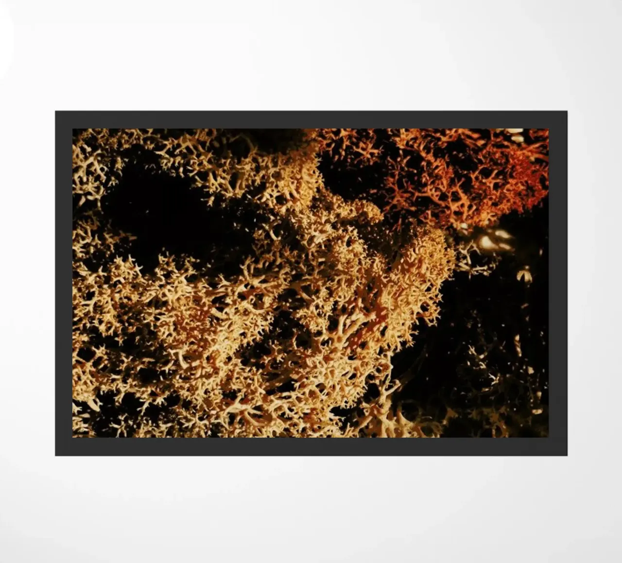 Spongy Texture zerbino da Sebastian Hilgetag