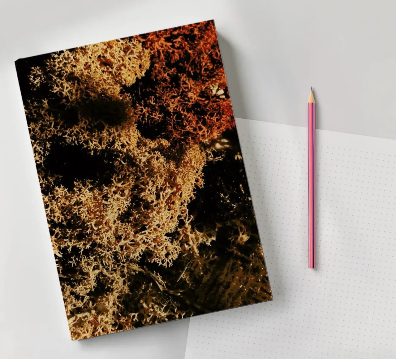 Spongy Texture notebook by Sebastian Hilgetag