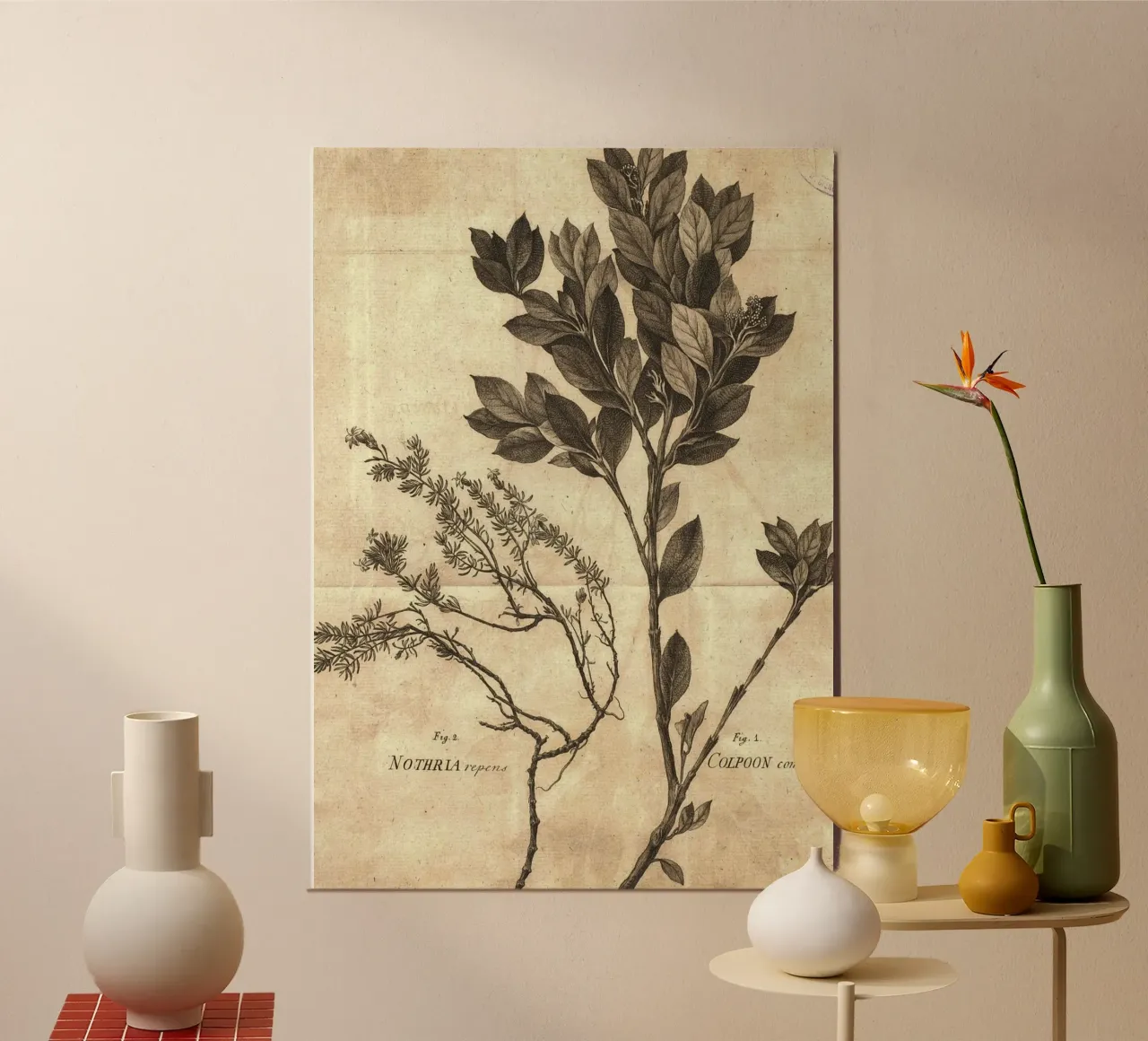 Incisione botanica d'epoca di Colpoon & Nothria - Arte della natura poster con telaio in legno da ClubArt