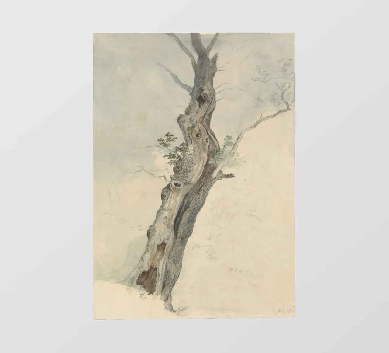 Vintage Weathered Tree Study - Rustic Nature Art pvc cover by ClubArt