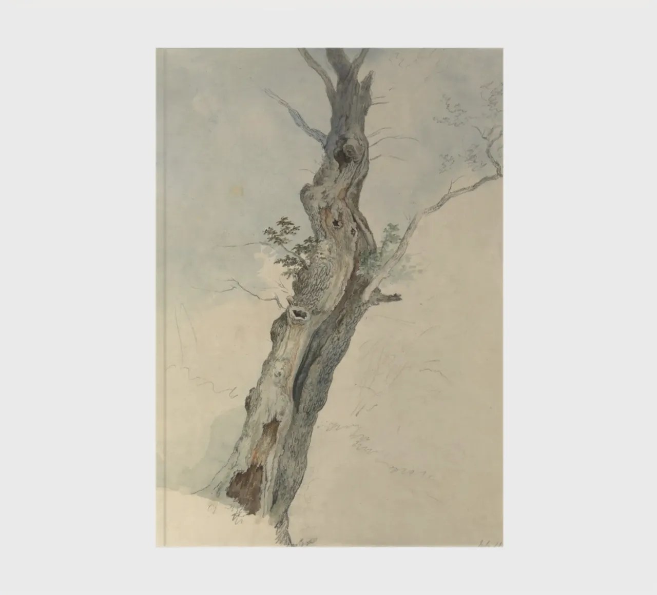 Vintage Weathered Tree Study - Rustic Nature Art notebook by ClubArt