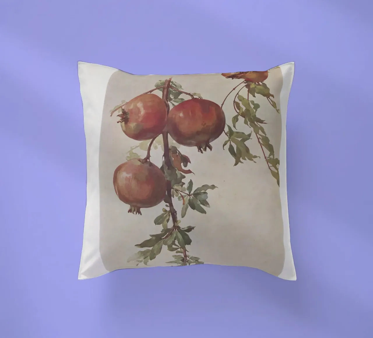 Roberto Franzoni - Vintage Pomegranate Botanical Print cuscino da ClubArt