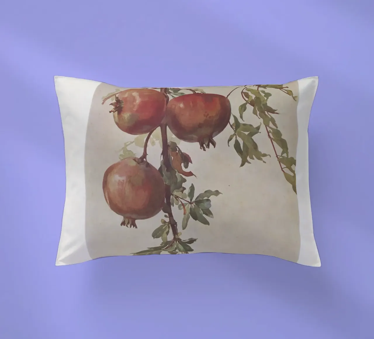 Roberto Franzoni - Vintage Pomegranate Botanical Print cuscino da ClubArt