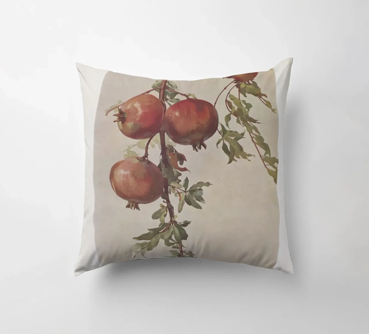 Roberto Franzoni - Vintage Pomegranate Botanical Print cuscino da ClubArt