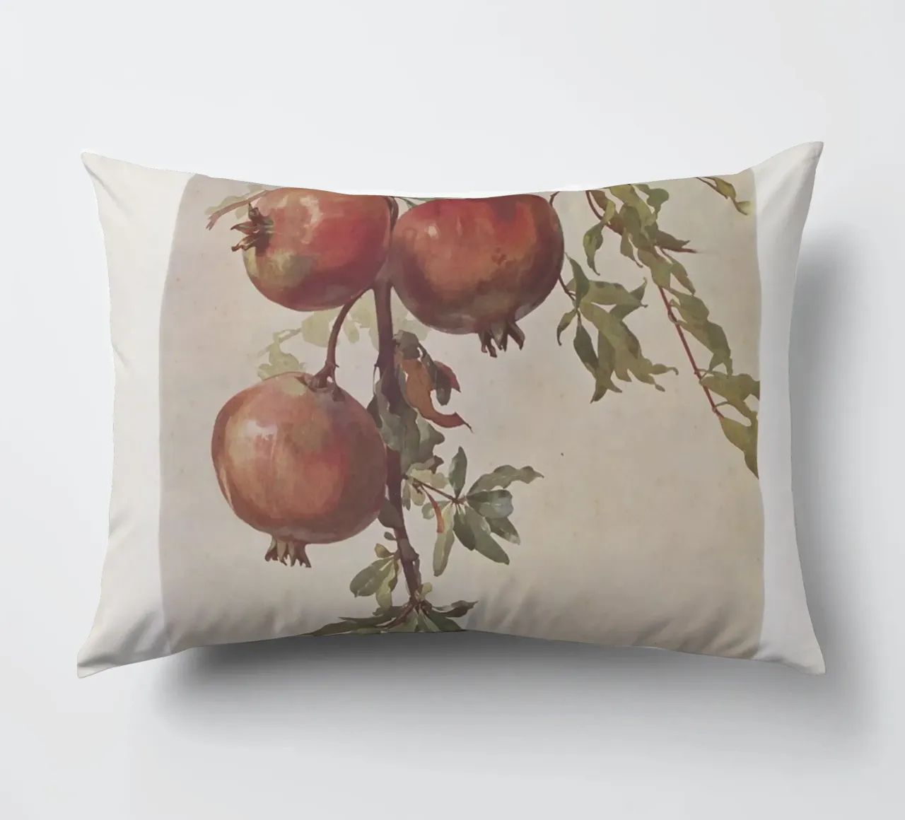 Roberto Franzoni - Vintage Pomegranate Botanical Print cuscino da ClubArt