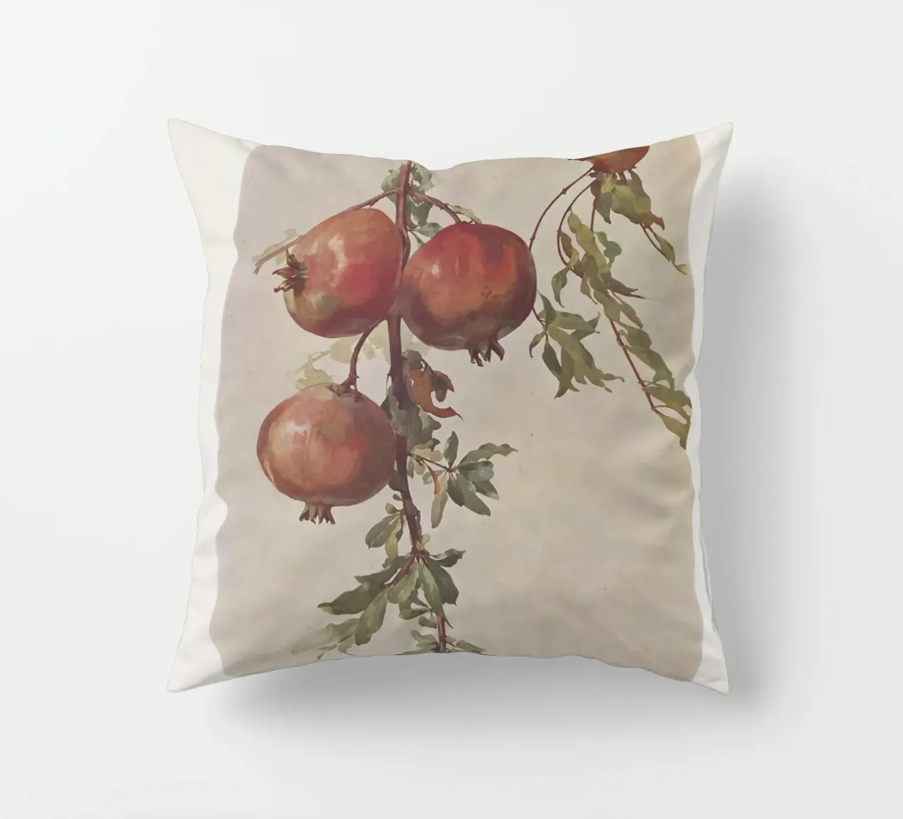 Roberto Franzoni - Vintage Pomegranate Botanical Print cuscino da ClubArt