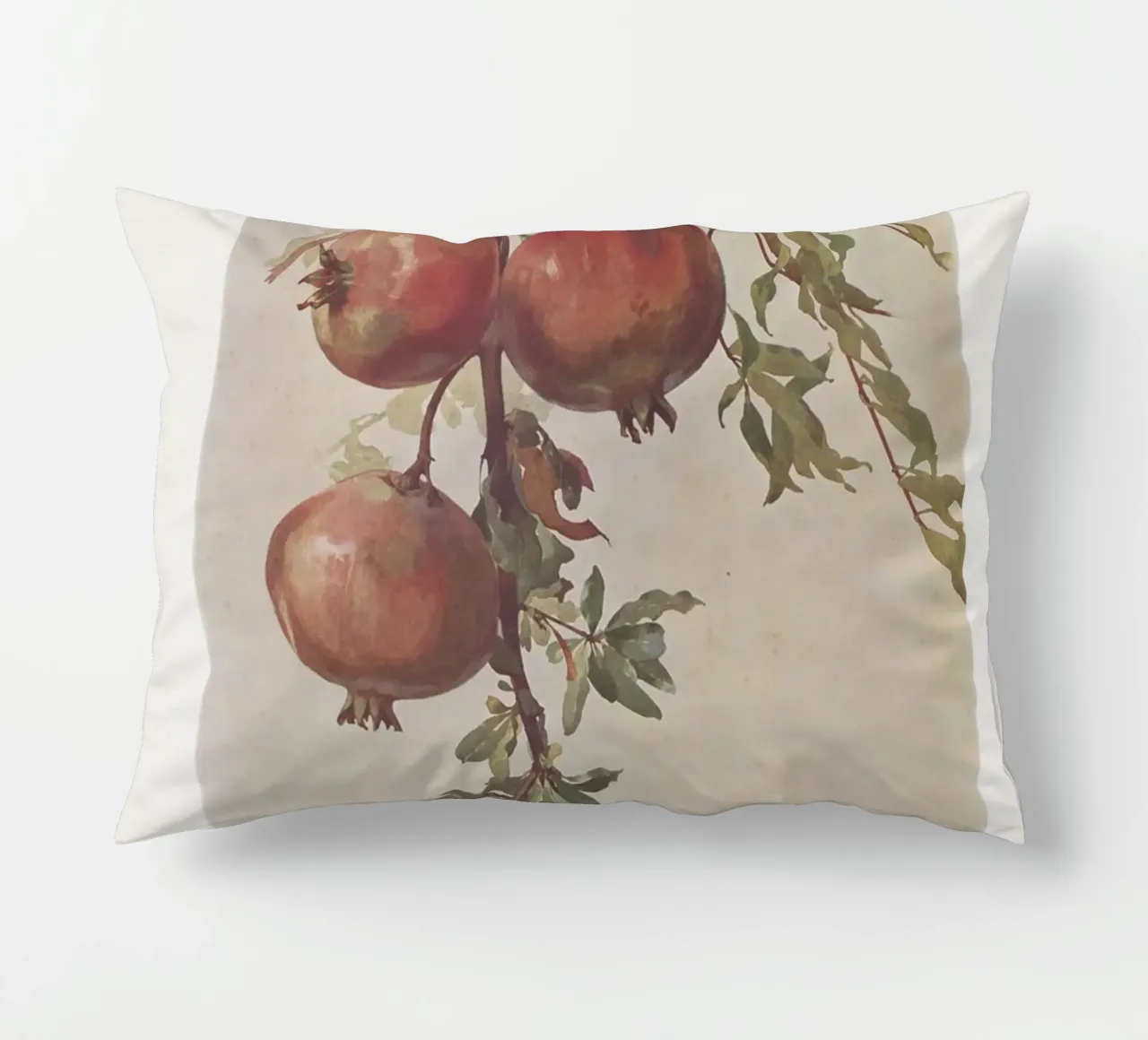 Roberto Franzoni - Vintage Pomegranate Botanical Print cuscino da ClubArt