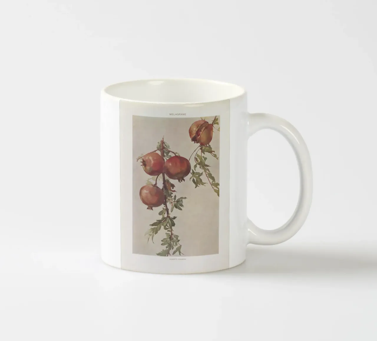 Roberto Franzoni - Vintage Pomegranate Botanical Print tazza in ceramica da ClubArt