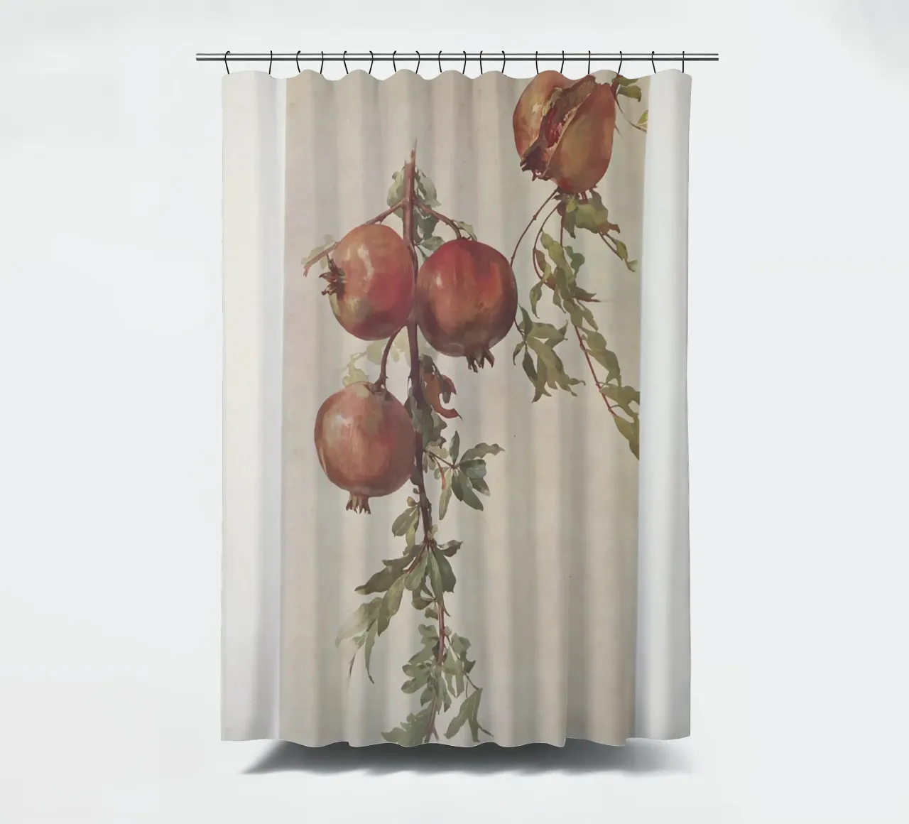Roberto Franzoni - Vintage Pomegranate Botanical Print shower curtain by ClubArt
