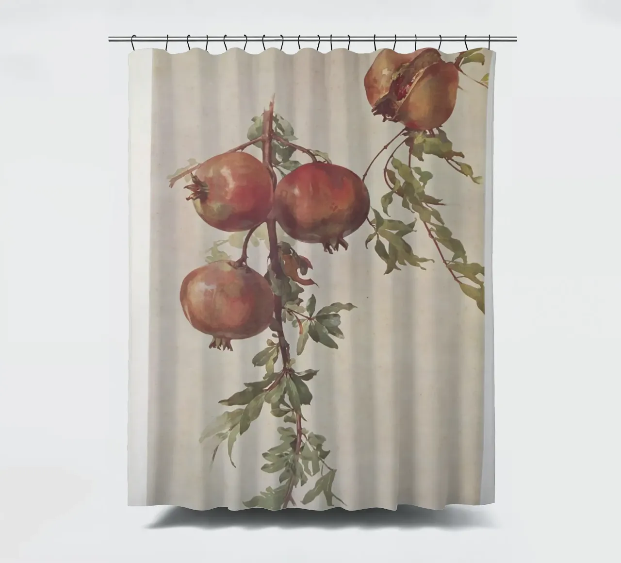 Roberto Franzoni - Vintage Pomegranate Botanical Print shower curtain by ClubArt