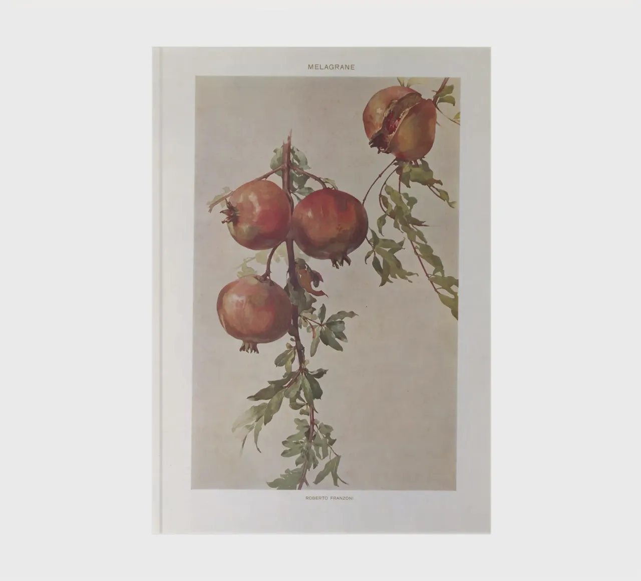 Roberto Franzoni - Vintage Pomegranate Botanical Print notebook by ClubArt