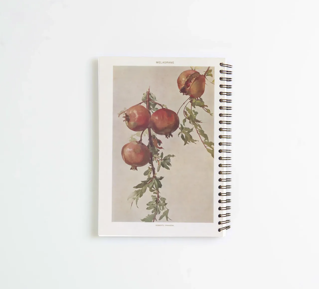Roberto Franzoni - Vintage Pomegranate Botanical Print spiral notebook by ClubArt