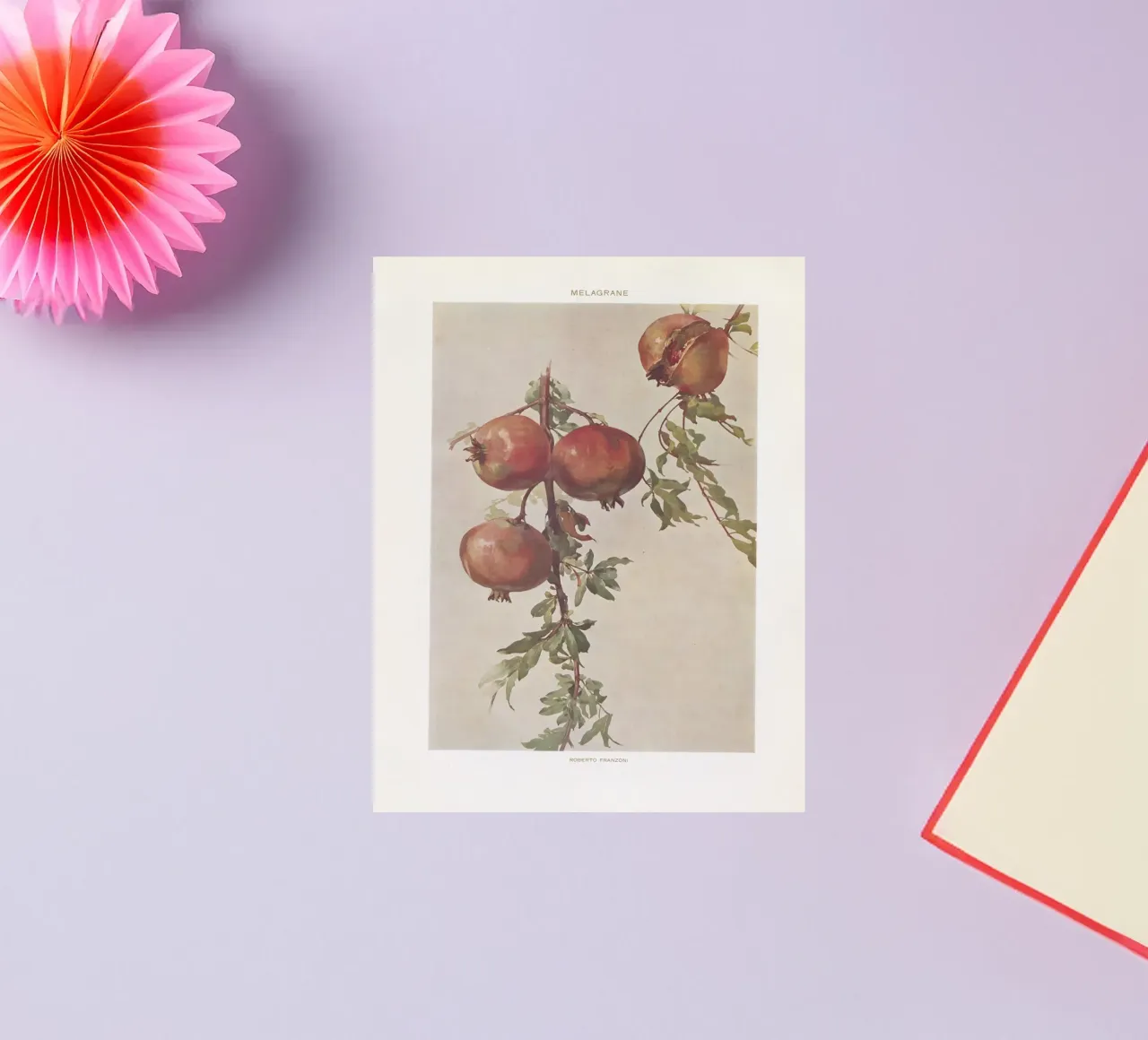 Roberto Franzoni - Vintage Pomegranate Botanical Print sticker by ClubArt