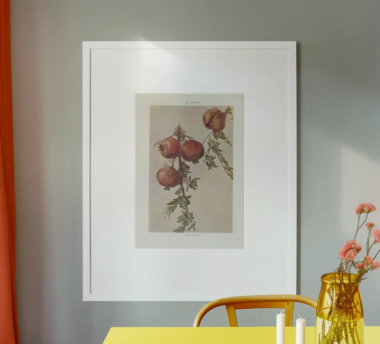 Roberto Franzoni - Vintage Pomegranate Botanical Print carta hahnemühle da ClubArt