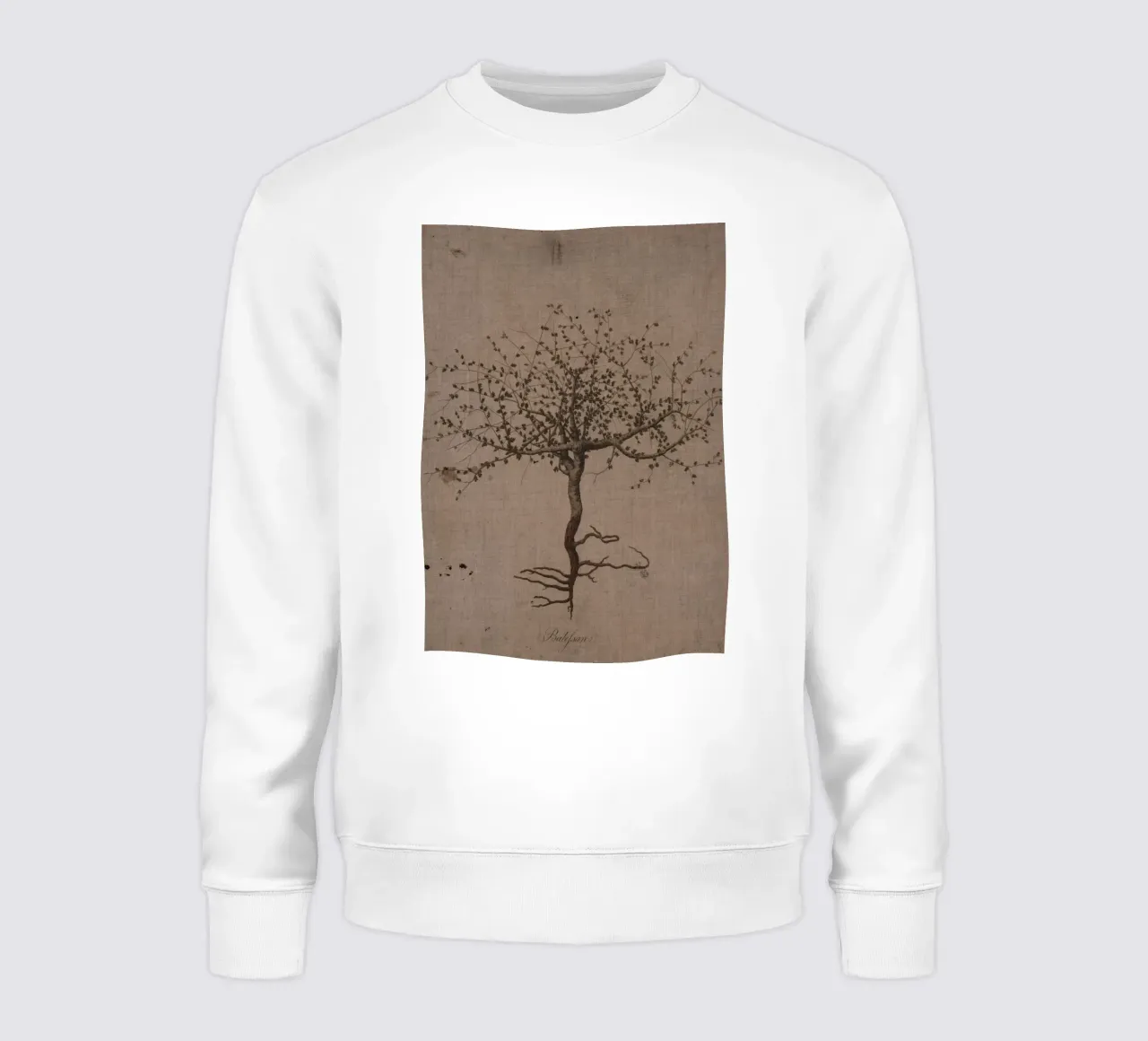 Vintage Balsam Tree Botanical Print - Rustic Nature Art sudadera de ClubArt