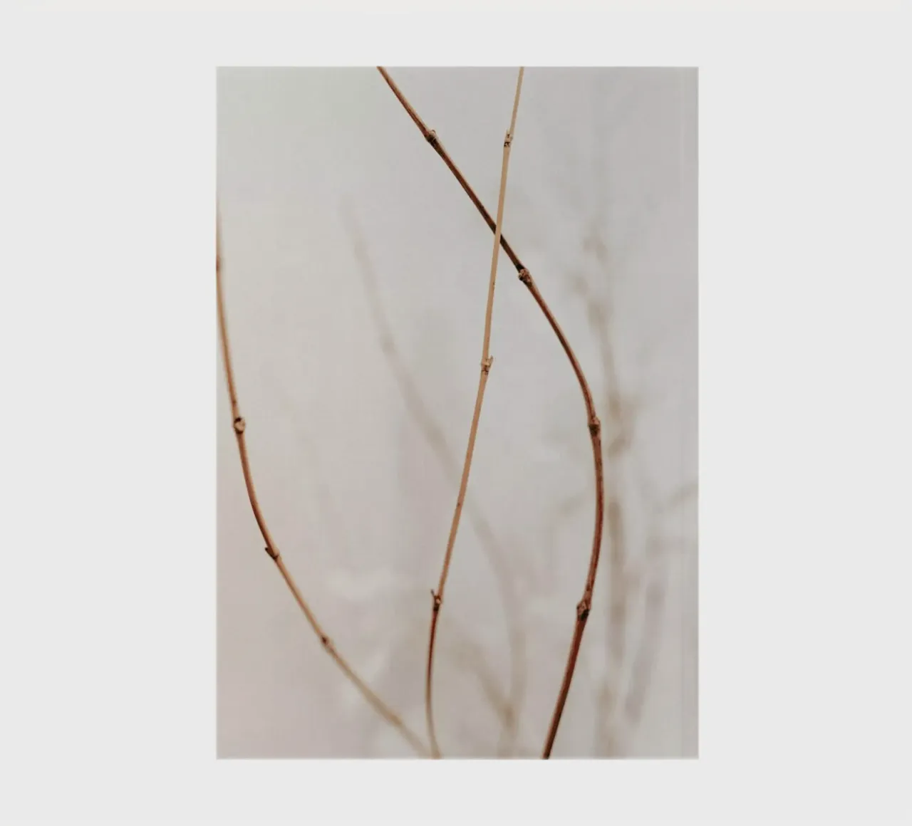 Abstract - Flowers III notebook by Sebastian Hilgetag