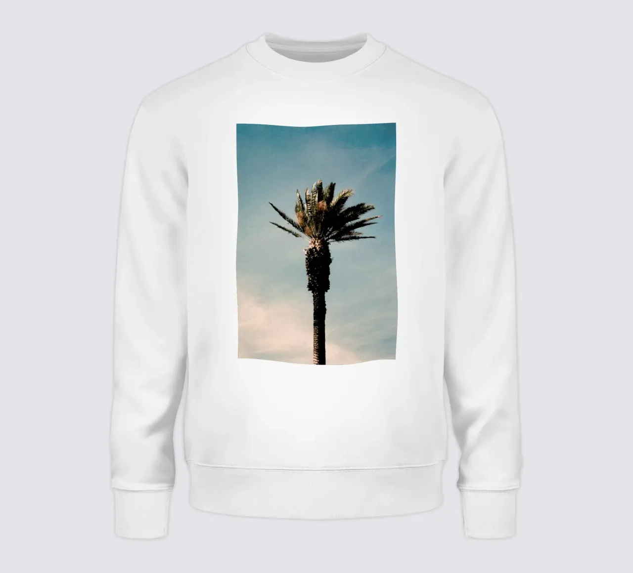 Analog Series Palm sweatshirt by Sebastian Hilgetag
