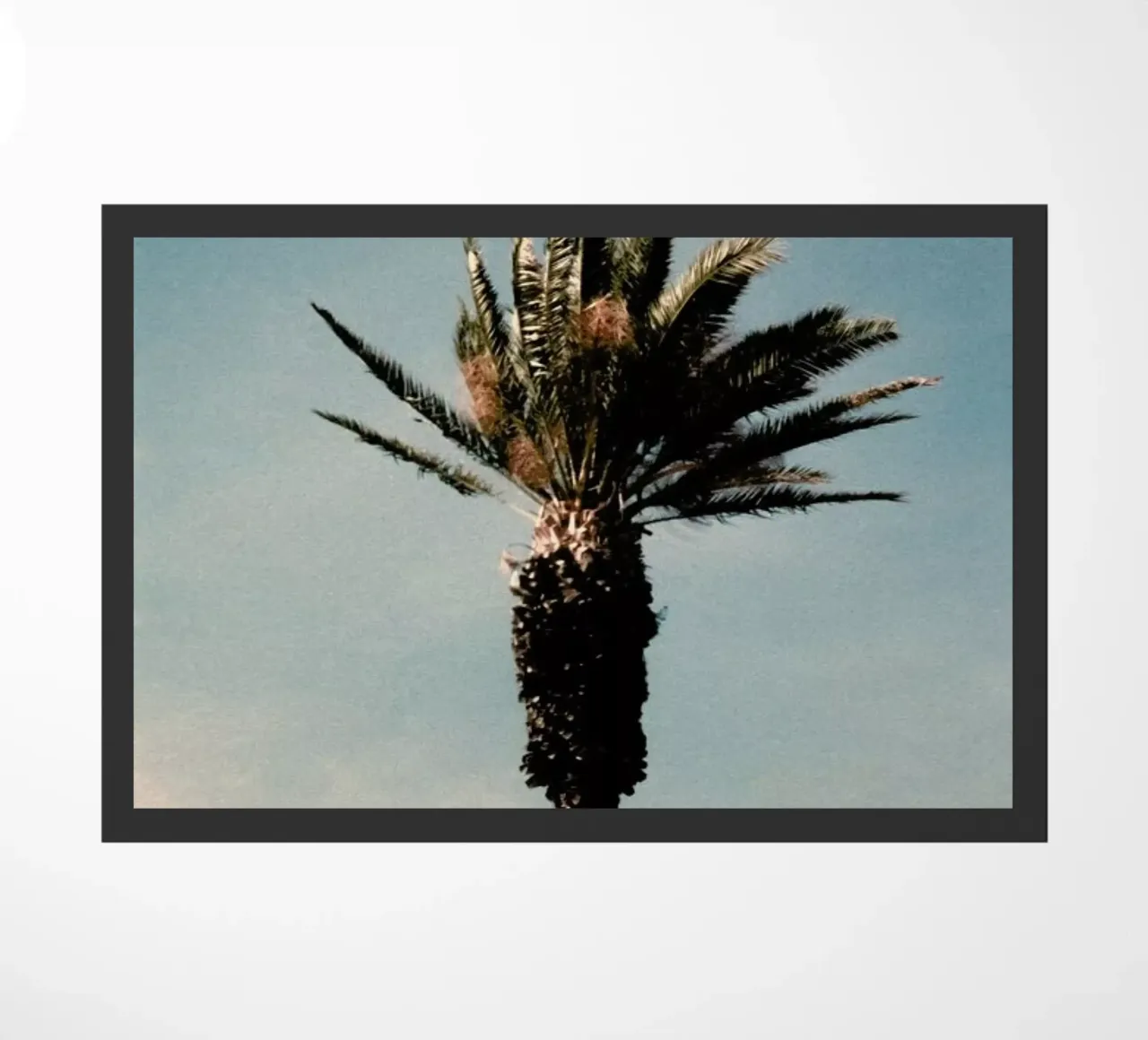 Analog Series Palm zerbino da Sebastian Hilgetag