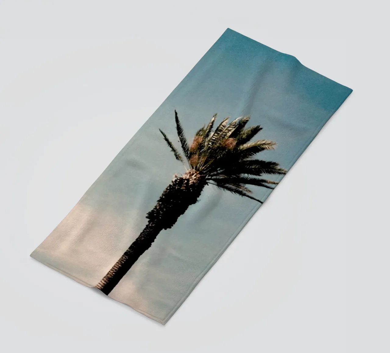 Analog Series Palm telo mare da Sebastian Hilgetag