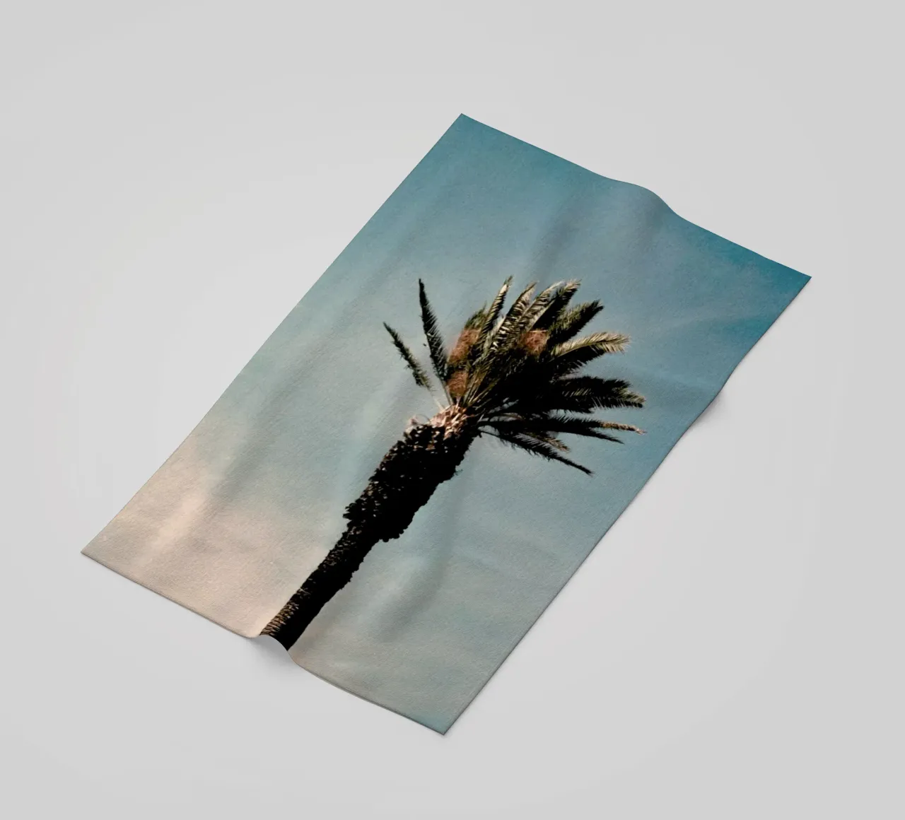 Analog Series Palm telo mare da Sebastian Hilgetag