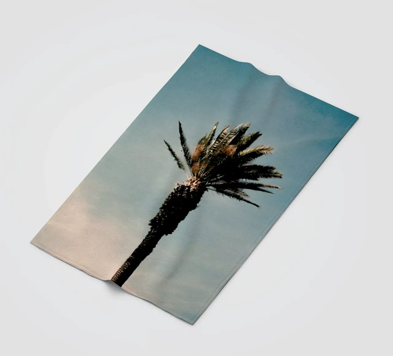Analog Series Palm coperta in pile da Sebastian Hilgetag