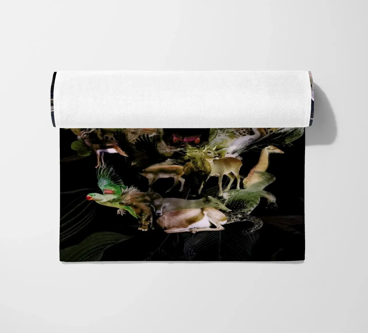 Kingdom telo mare da Ali Gulec