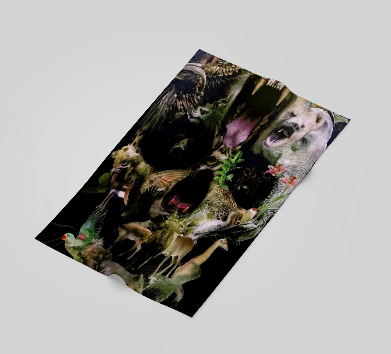 Kingdom telo mare da Ali Gulec