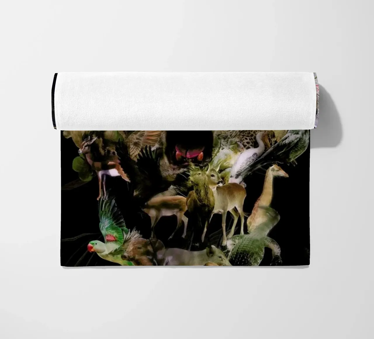 Kingdom telo mare da Ali Gulec