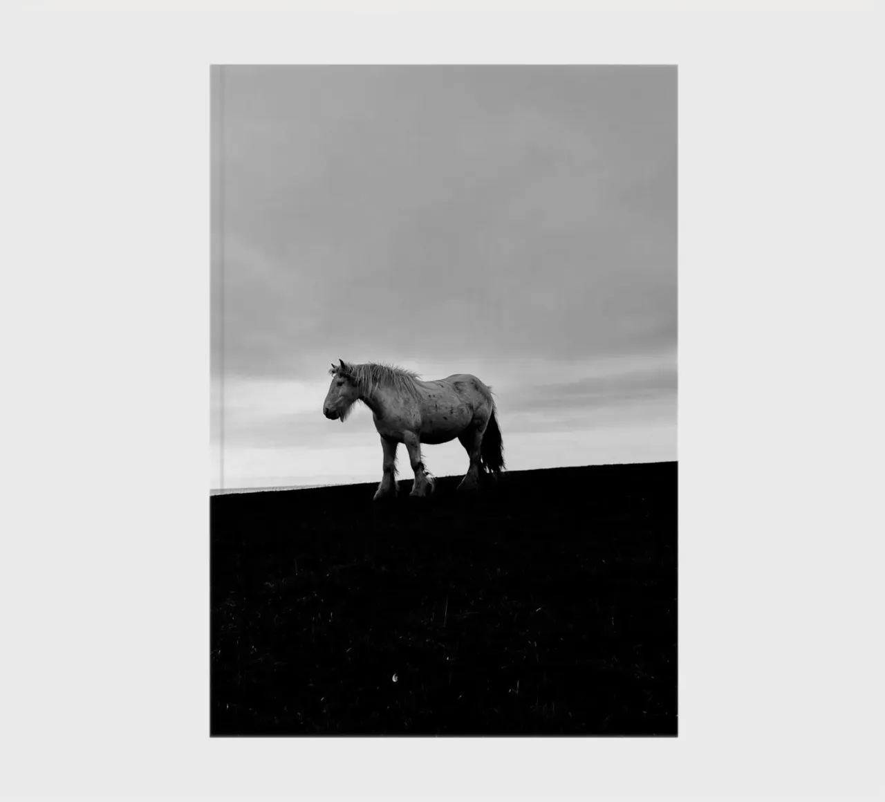pasture field notebook by Horsire