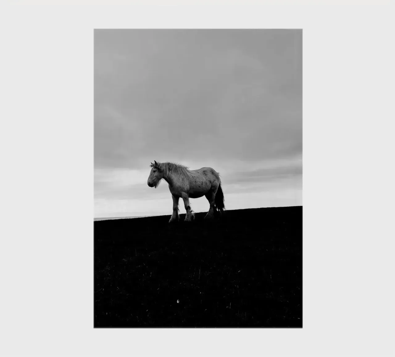 pasture field notebook by Horsire