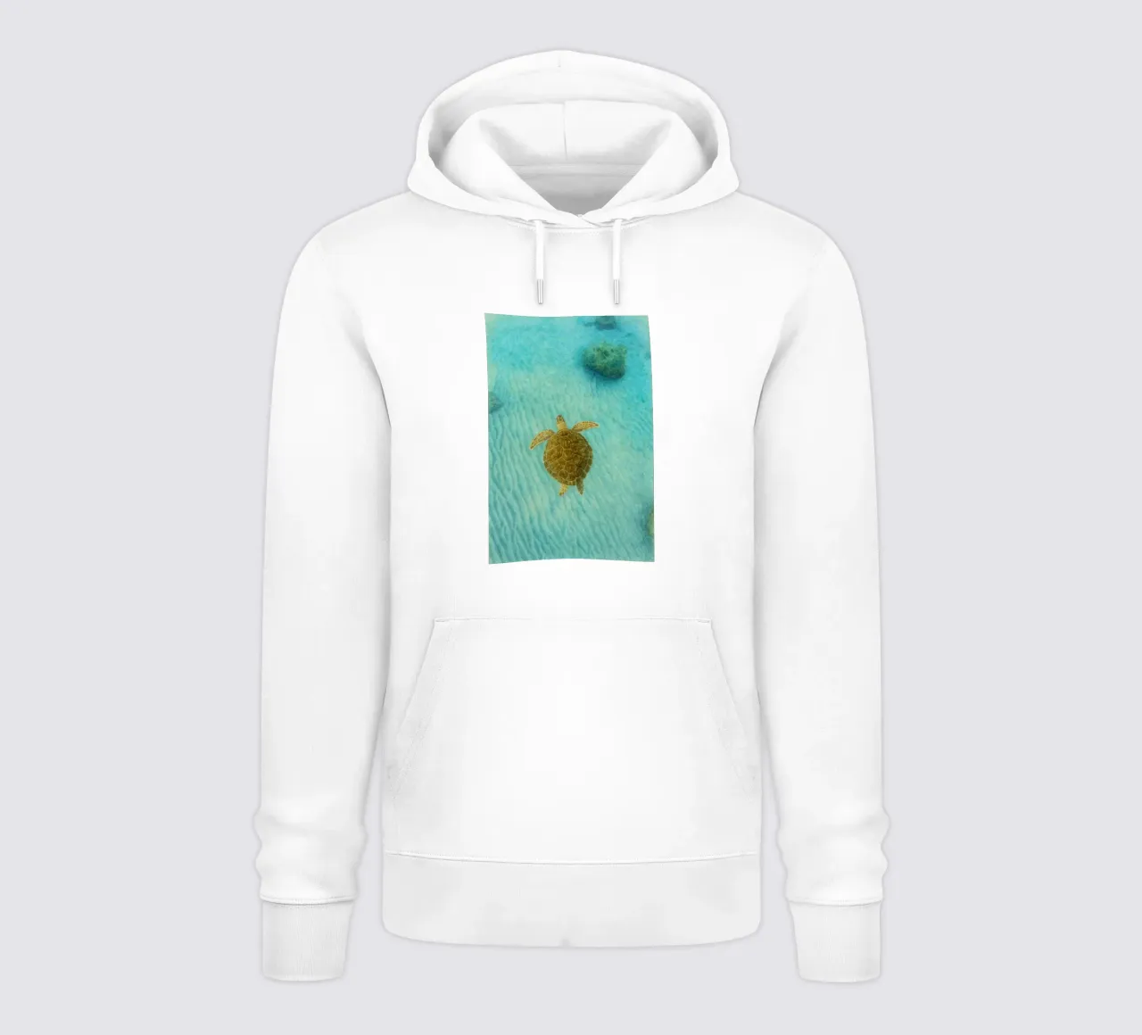 turtois painting drawing hoodie by lauraa