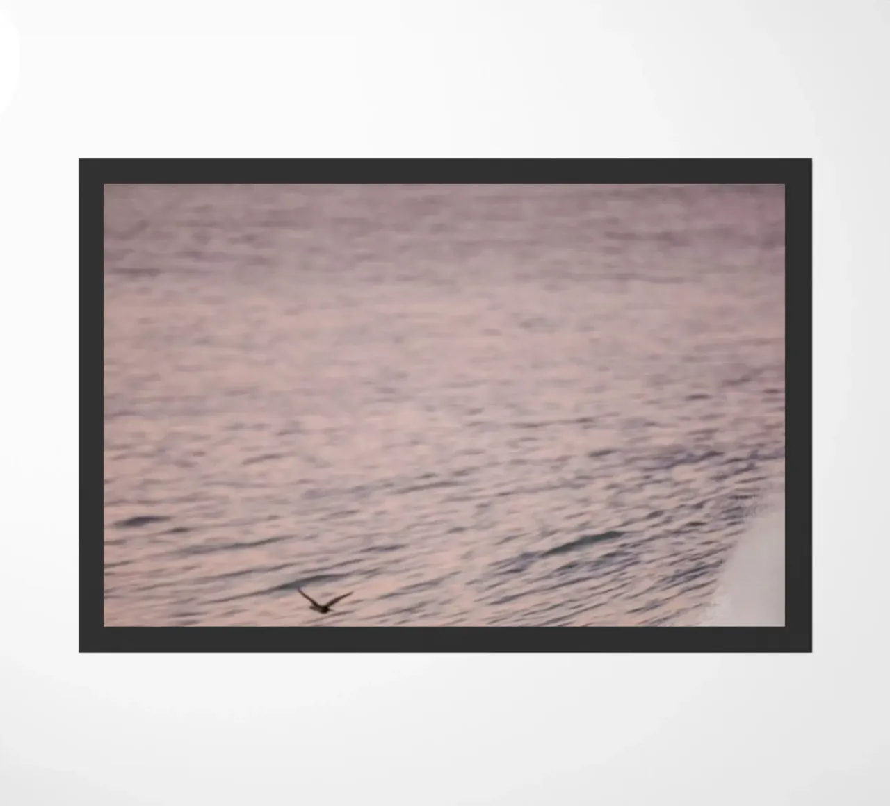 Birdman doormat by Shot By Clint