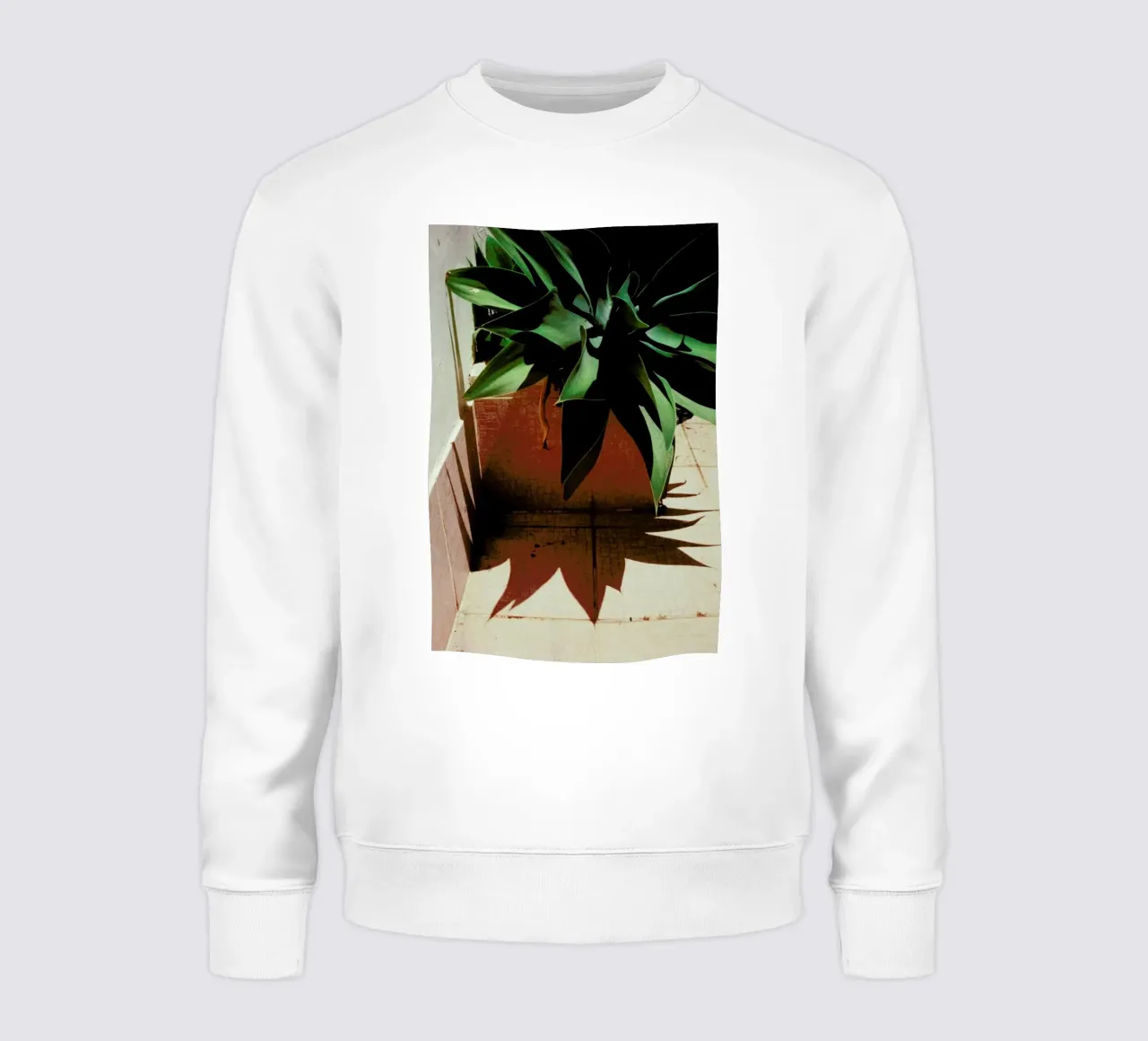 Analog Series Plant By The Pool felpa da Sebastian Hilgetag