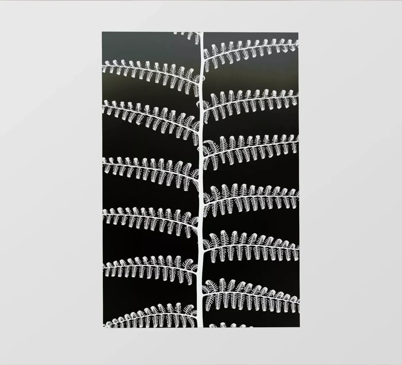 Mami pellicola backlit da Shot By Clint