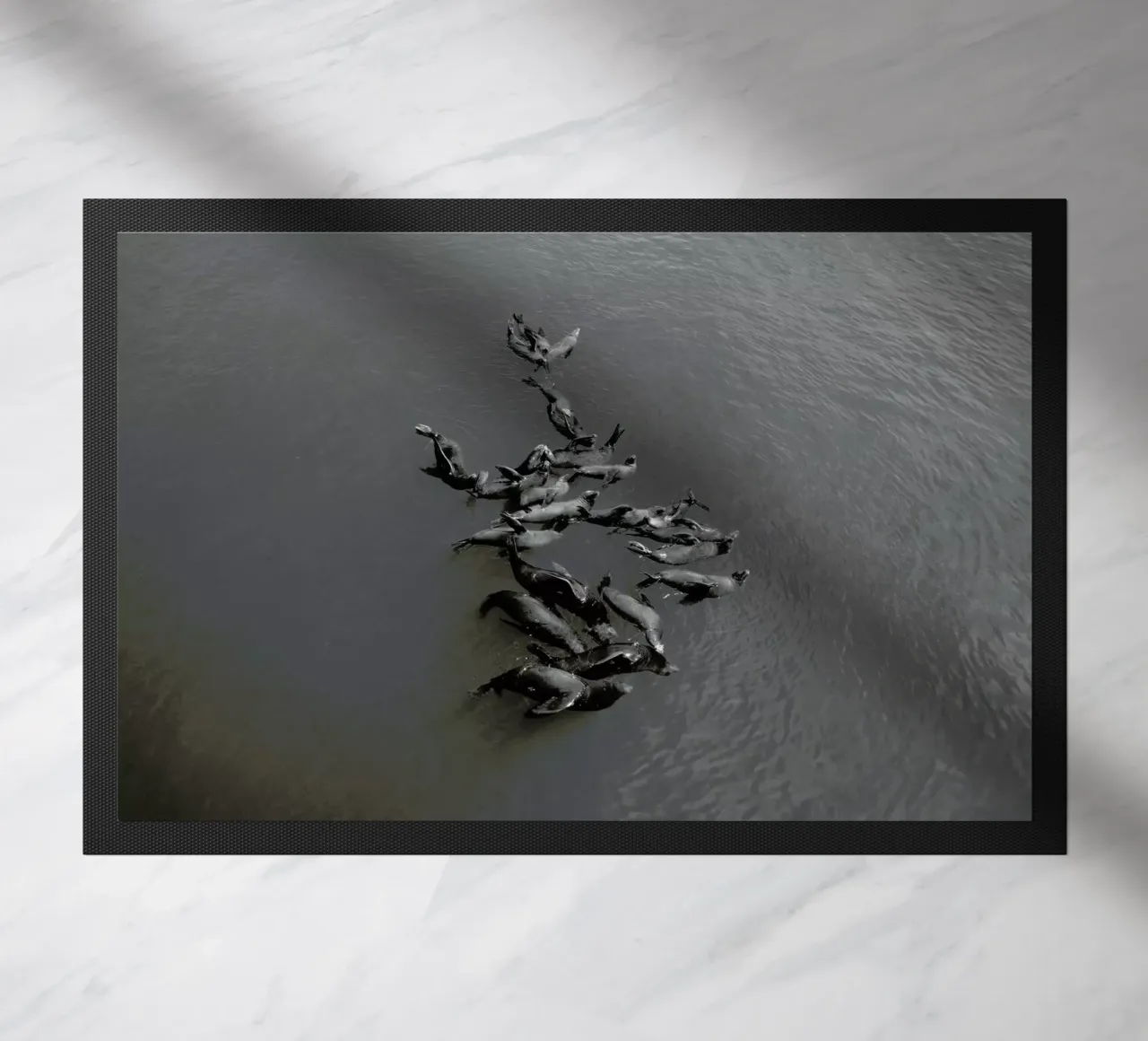 Selkies zerbino da EyeEm Mobile GmbH