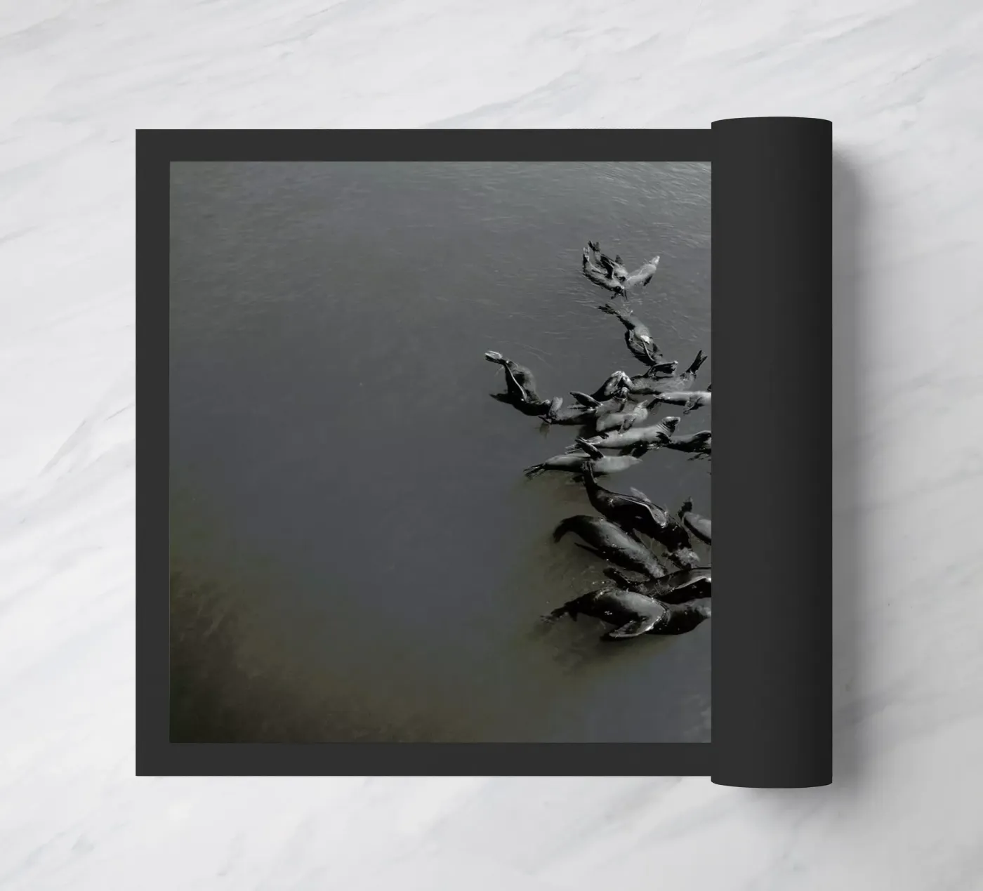 Selkies doormat by EyeEm Mobile GmbH