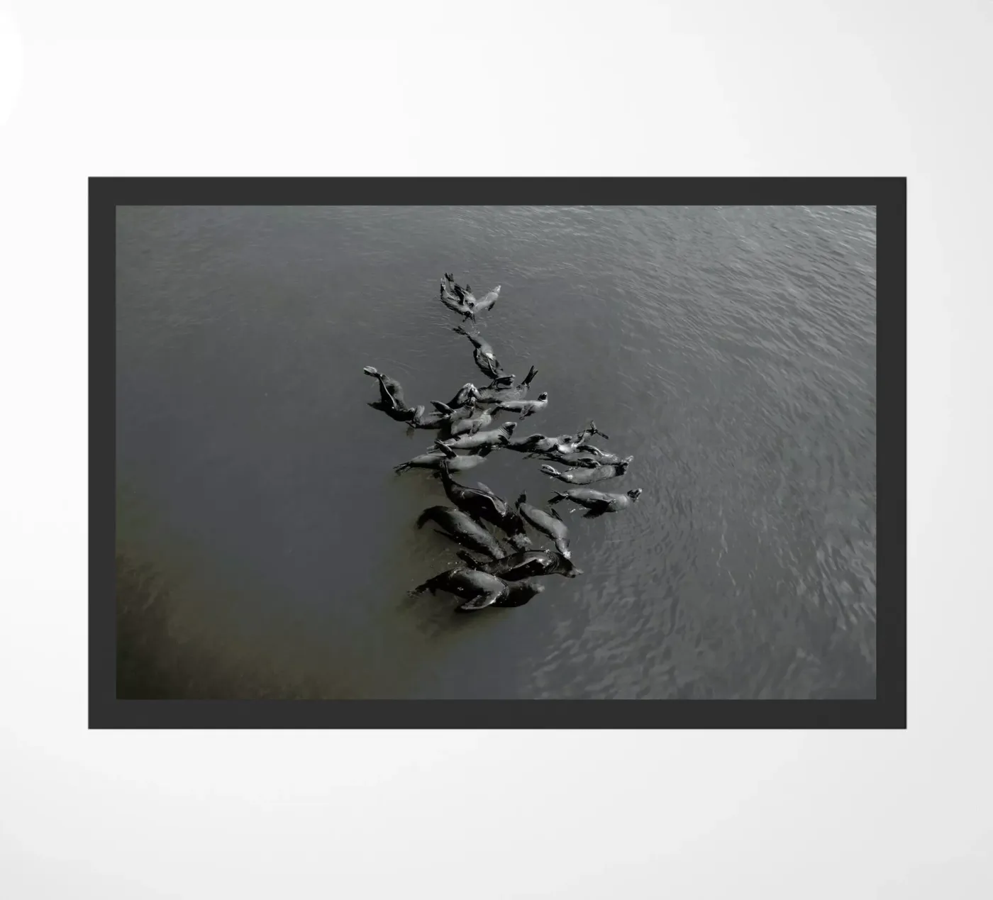 Selkies doormat by EyeEm Mobile GmbH