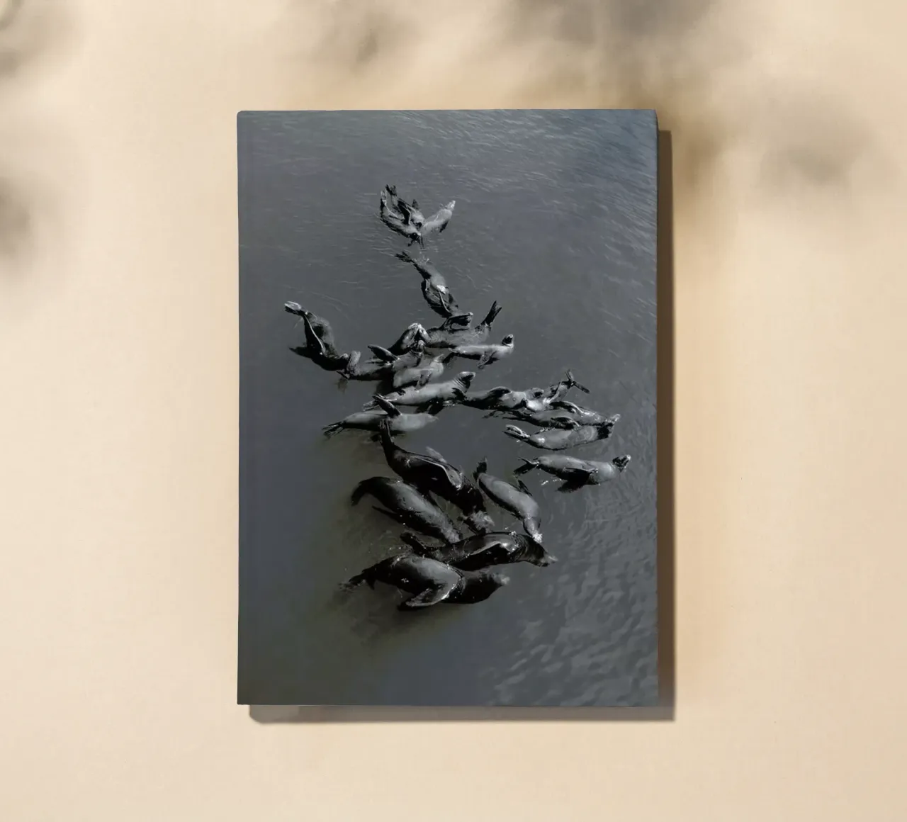 Selkies notebook by EyeEm Mobile GmbH