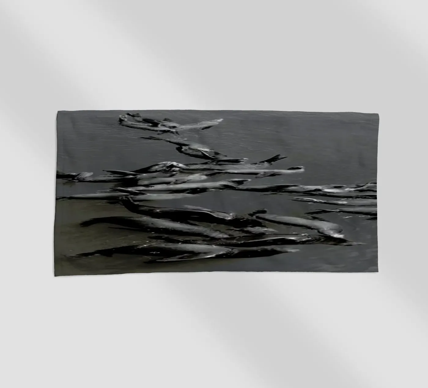 Selkies telo mare da EyeEm Mobile GmbH