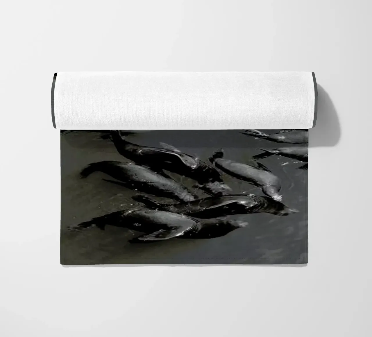 Selkies telo mare da EyeEm Mobile GmbH