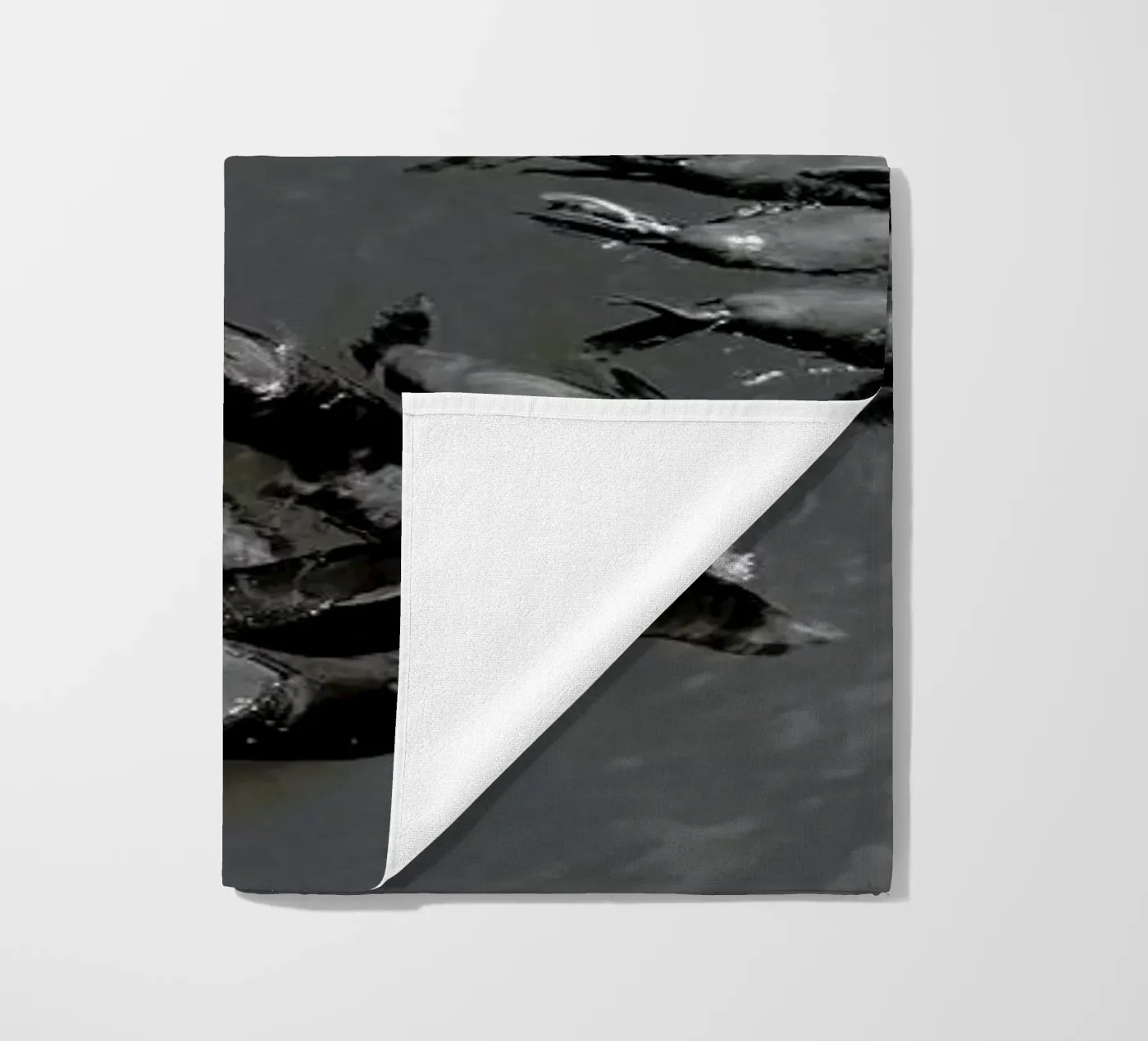 Selkies telo mare da EyeEm Mobile GmbH