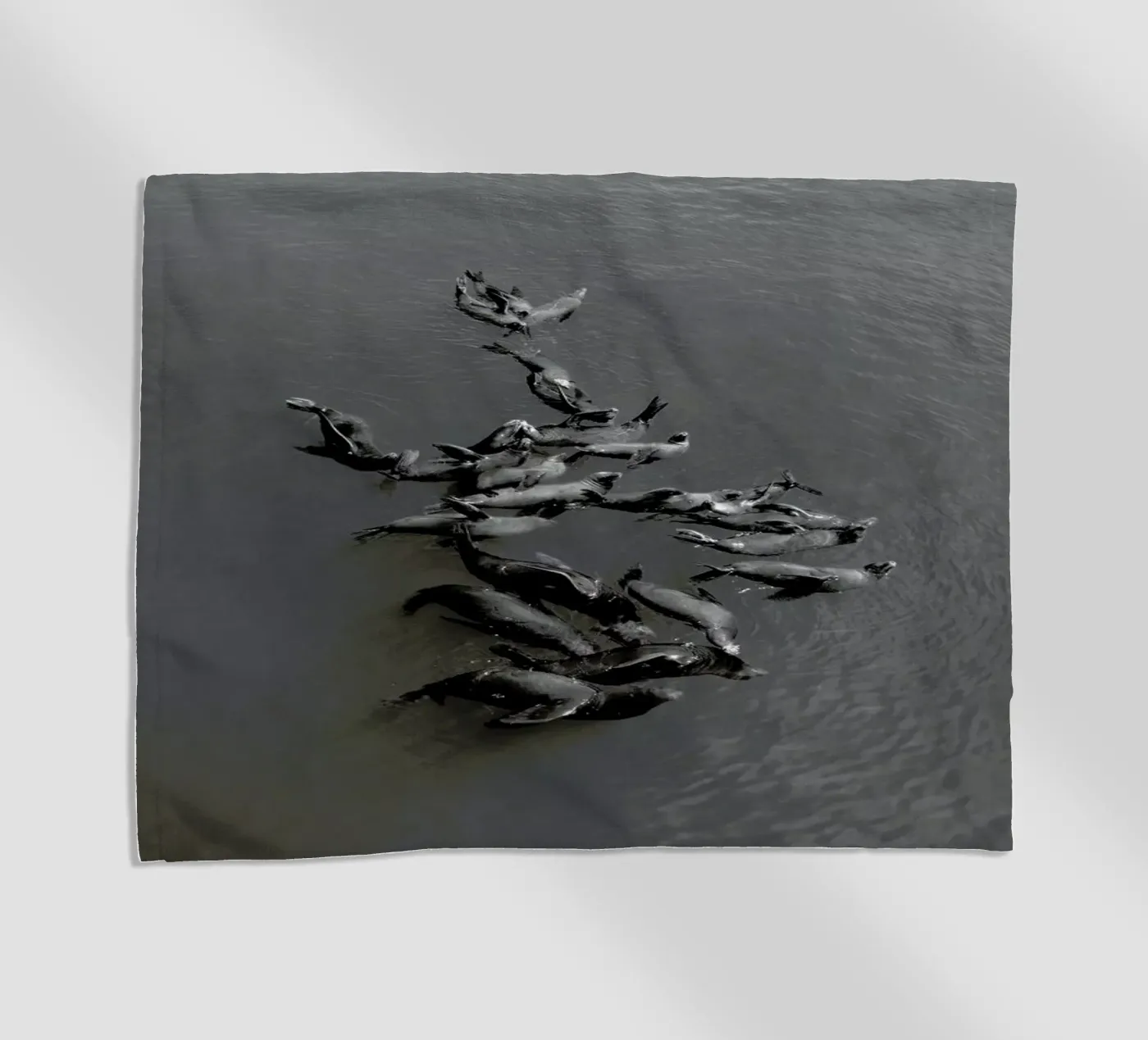 Selkies telo mare da EyeEm Mobile GmbH