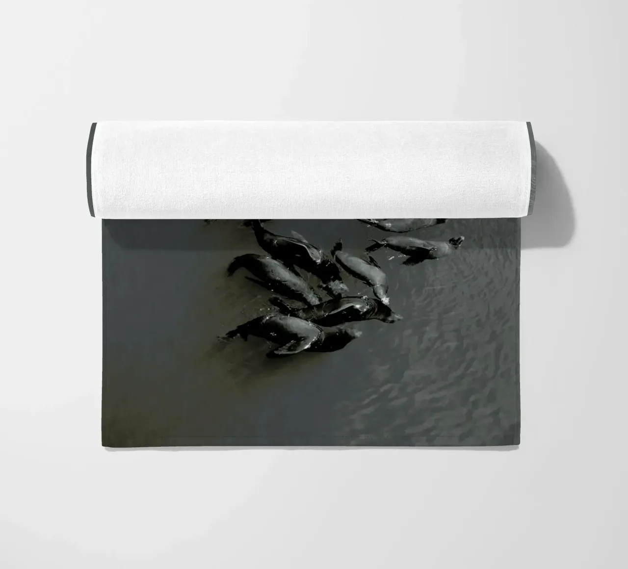 Selkies telo mare da EyeEm Mobile GmbH