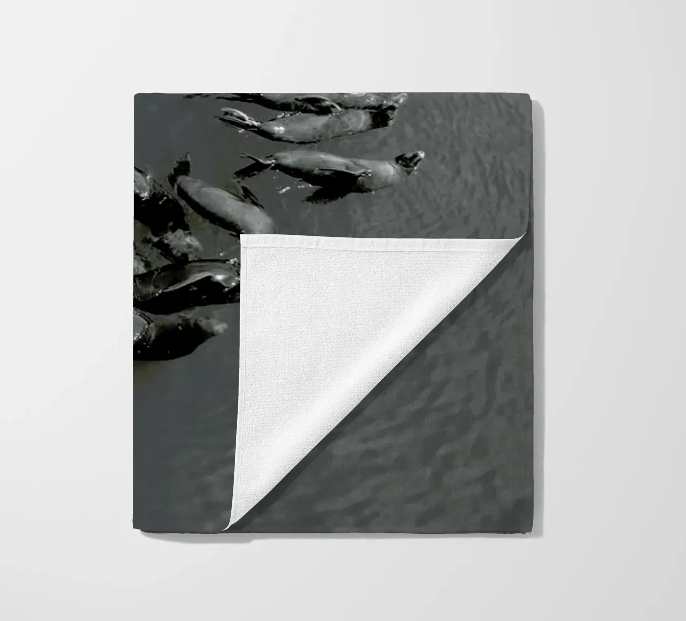 Selkies telo mare da EyeEm Mobile GmbH